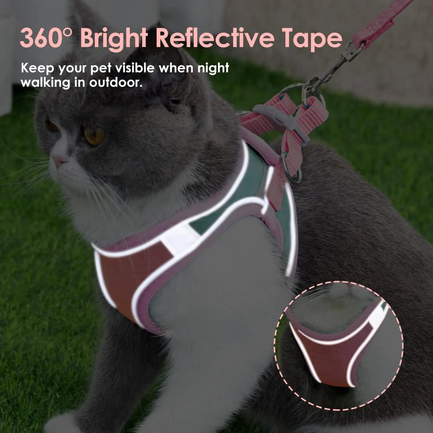 *Harnais Réfléchissant pour Chat et Petit Chien avec Laisse - Gilet Ajustable Sécurité Nuit - Taille S/M/L