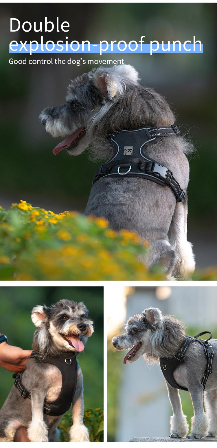 *Harnais pour Chien Réfléchissant Anti-Traction - Gilet Ajustable en Nylon  - Attache, sécurisée