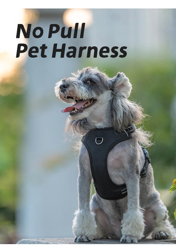 *Harnais pour Chien Réfléchissant Anti-Traction - Gilet Ajustable en Nylon  - Attache, sécurisée