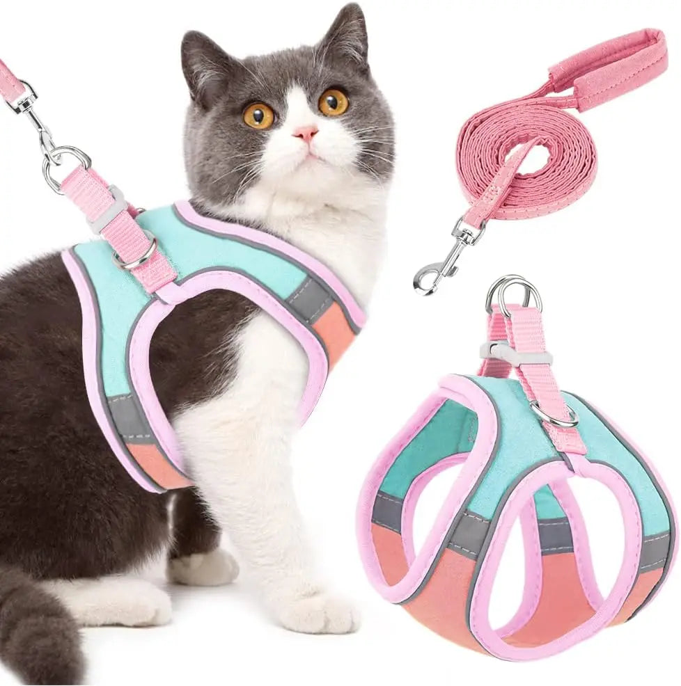 *Harnais Réfléchissant pour Chat et Petit Chien avec Laisse - Gilet Ajustable Sécurité Nuit - Taille S/M/L